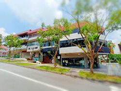 Goh & Goh Building (Enbloc) (D21), Shop House #583364811